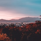 故宫